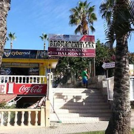 Parque Cattleya Tenerife Playa de las Americas  Ngoại thất bức ảnh
